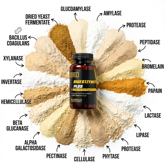 Digestzymes Plus - Ultimate Gut Support